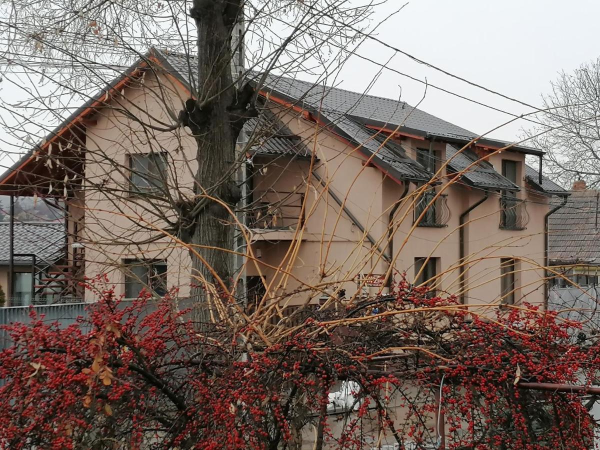 Pensiunea Casa Zece Turda Exterior photo